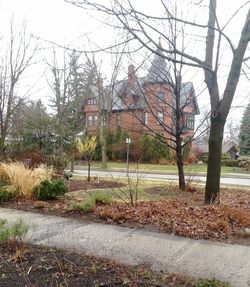 Bare trees in front of building