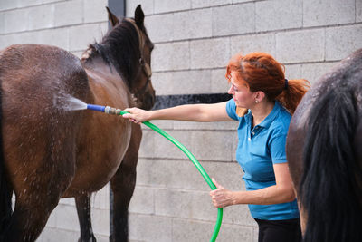 Woman washing a horse with a hose in a stable.