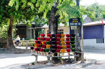 Various flowers in building by trees in city