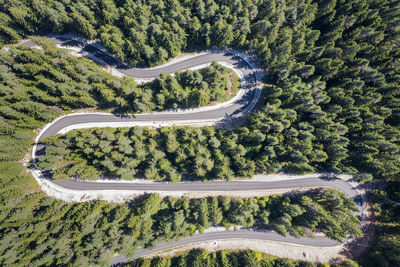 High angle view of road amidst trees