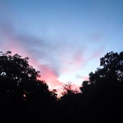 Low angle view of silhouette trees against sky at sunset