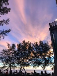 Low angle view of silhouette trees against sky