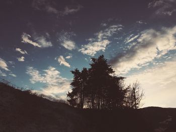 Low angle view of silhouette trees against sky