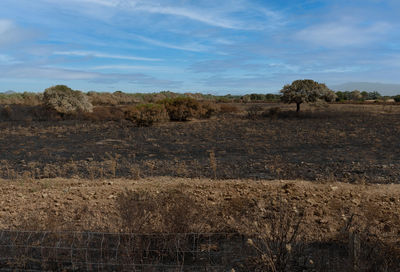 Scenic view of land against sky