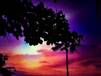 Low angle view of silhouette tree against sky at sunset