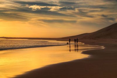 Silhouette person on beach against sky during sunset