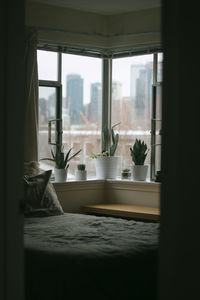 Potted cactus plants on window sill by bed at home