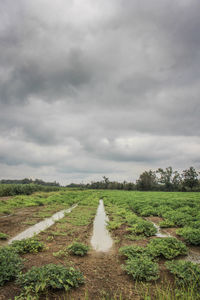 Country road passing through landscape