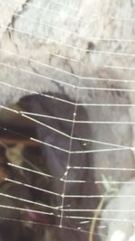 Full frame shot of blurred background