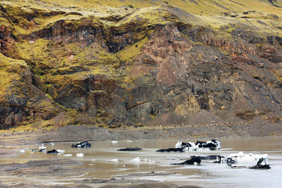 High angle view of rocks on sea shore