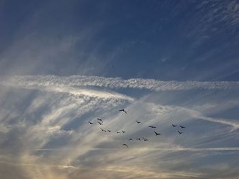 Low angle view of airplane flying against sky