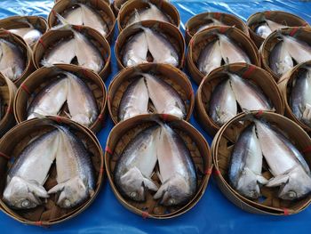 View of fish for sale in market