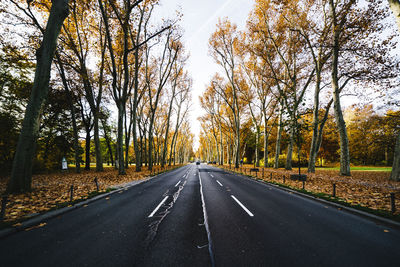 Road amidst trees during autumn