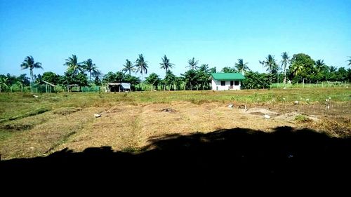 Trees on field against clear sky