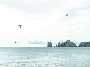 Scenic view of two birds playing high above the sea against the blue sky