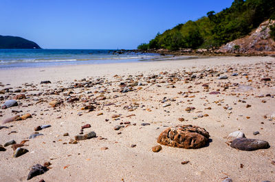 Surface level of sandy beach against sky