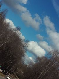 Low angle view of trees against sky