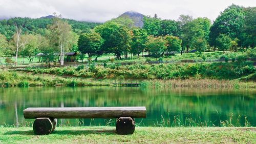 Scenic view of lake by trees