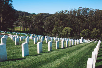 Panoramic shot of cemetery against clear sky