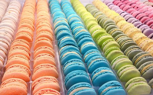 High angle view of multi colored pencils in row