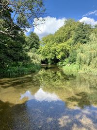 Scenic view of lake in forest against sky