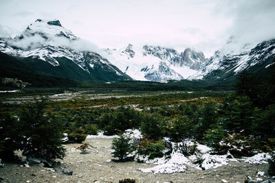 Scenic view of snowcapped mountains and forest against sky