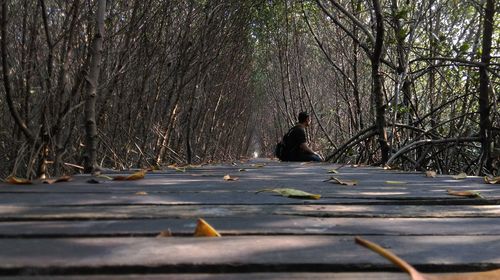Man sitting on road amidst trees in forest during winter