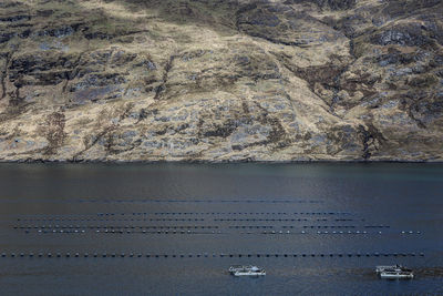 High angle view of birds on sea shore