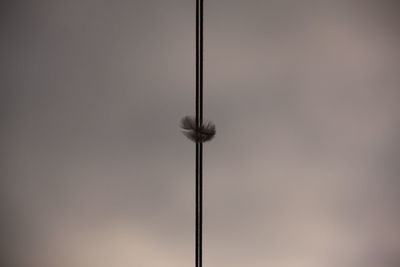 Low angle view of pole against sky