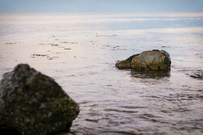 Close-up of rocks in sea against sky