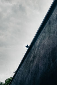 Low angle view of bird perching on a building