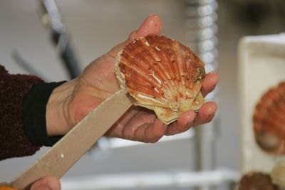 Close-up of hand holding ice cream