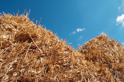 Pile of straw against sky