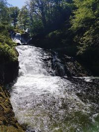 Scenic view of waterfall in forest