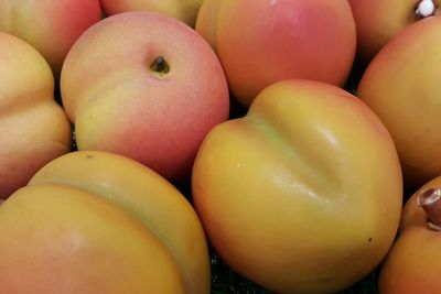 Close-up of fruits