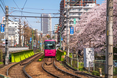 Train on railroad tracks in city