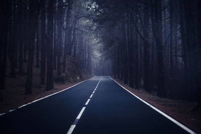 Empty road along trees in forest