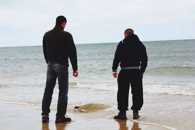 Rear view of men standing by dead stingray at beach