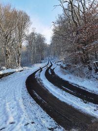 Snow covered road amidst trees against sky