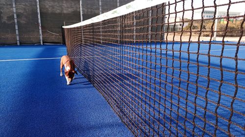 High angle view of man standing in cage