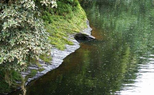 Scenic view of river