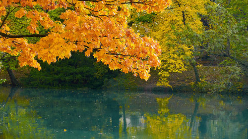 Scenic view of lake during autumn