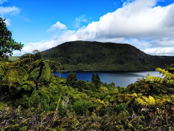 Calm lake surrounded by trees against blue sky