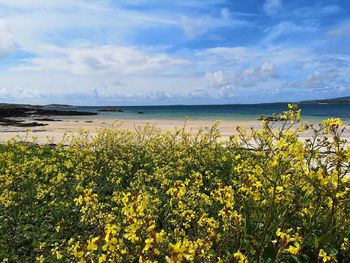 Scenic view of sea against cloudy sky
