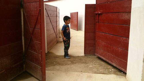 Boy standing on floor at stable