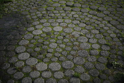 Full frame shot of white background