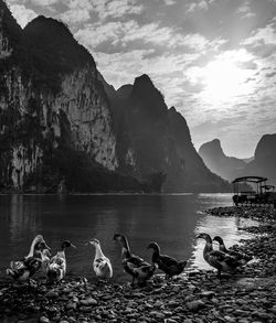 Ducks on lake against mountains