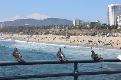 Group of people at beach against sky
