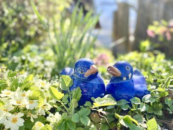 Close-up of two birds on plant