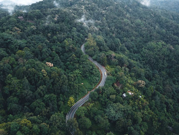 High angle view of winding road in forest